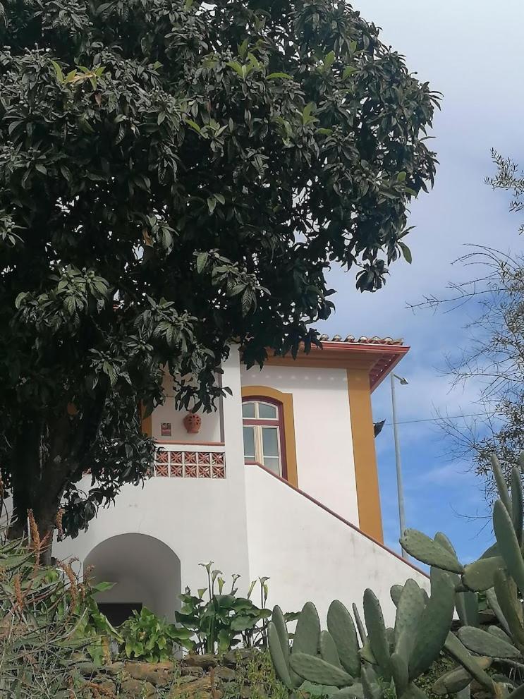 Quinta Do Americano Sardoal エクステリア 写真